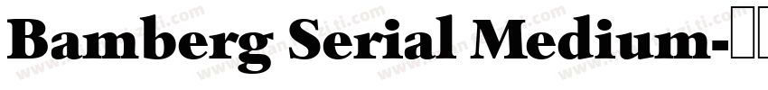 Bamberg Serial Medium字体转换